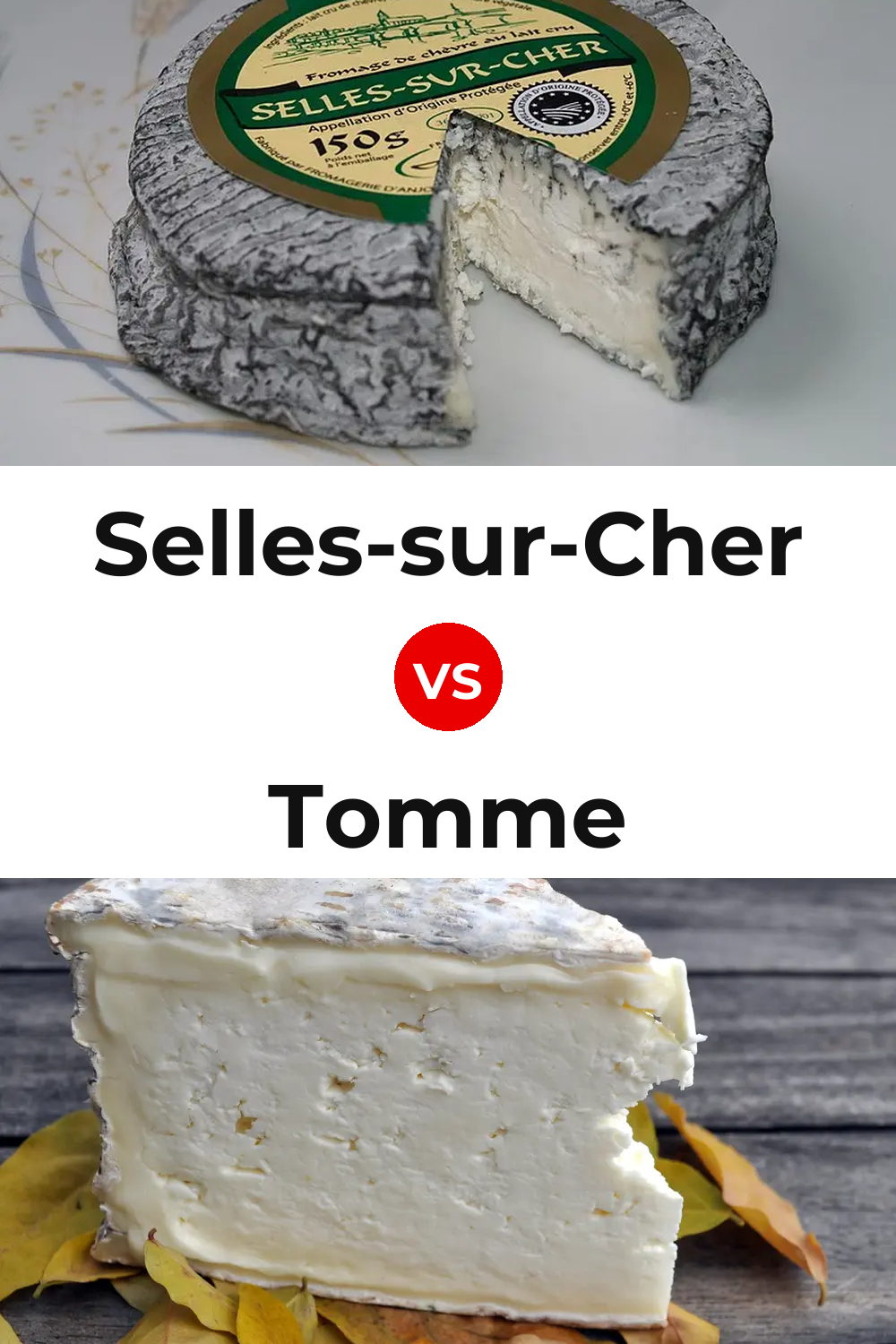 Selles-sur-Cher Cheese vs Tomme Cheese Pinterest comparison