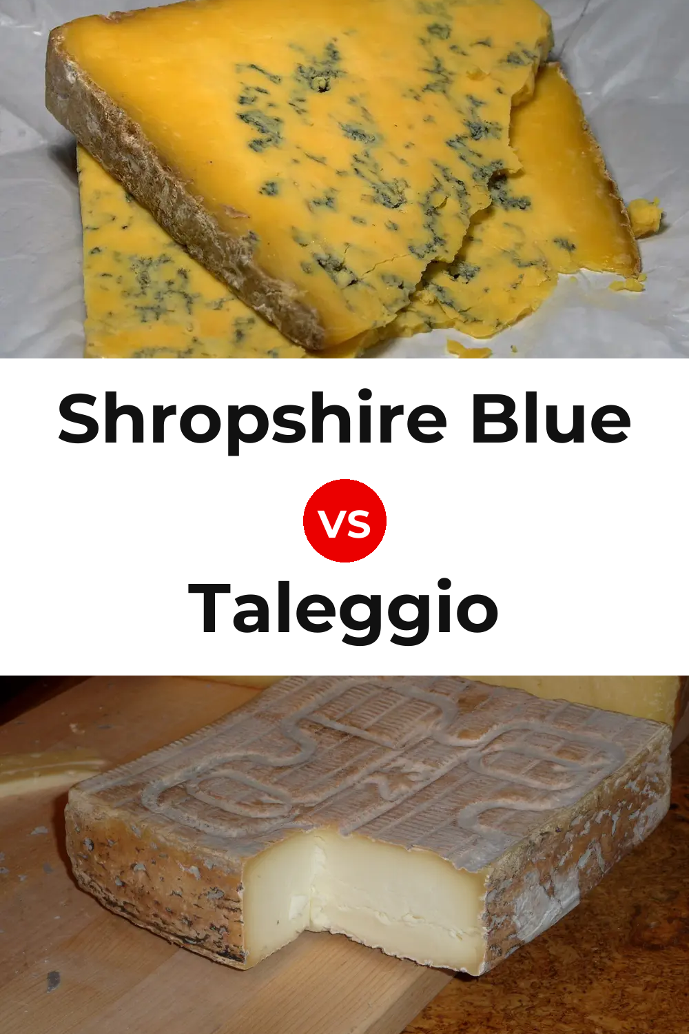 Shropshire Blue Cheese vs Taleggio Cheese Pinterest comparison
