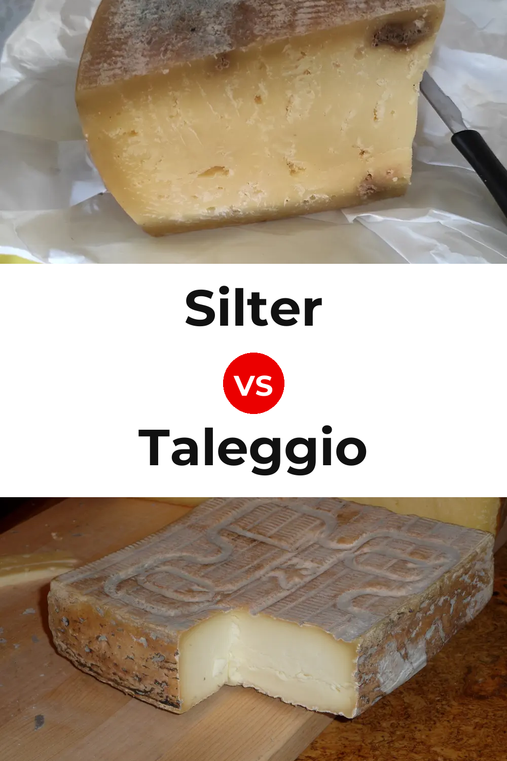 Silter Cheese vs Taleggio Cheese Pinterest comparison