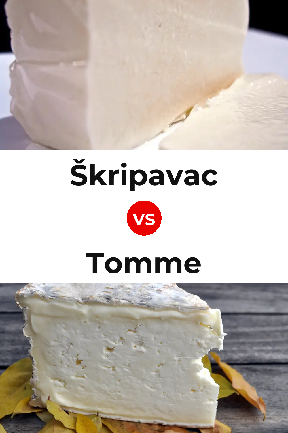 Škripavac Cheese vs Tomme Cheese Pinterest comparison