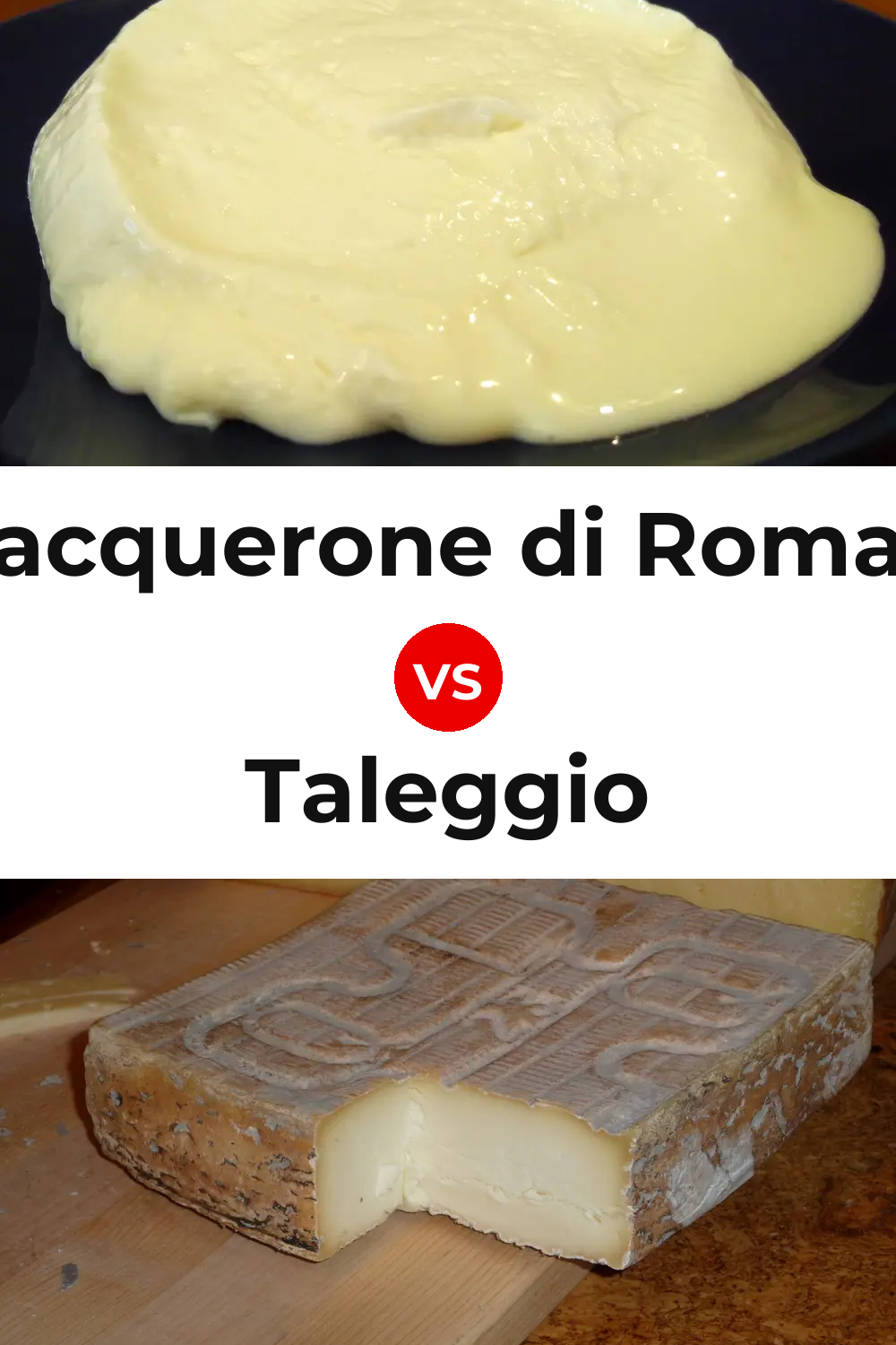Squacquerone di Romagna Cheese vs Taleggio Cheese Pinterest comparison