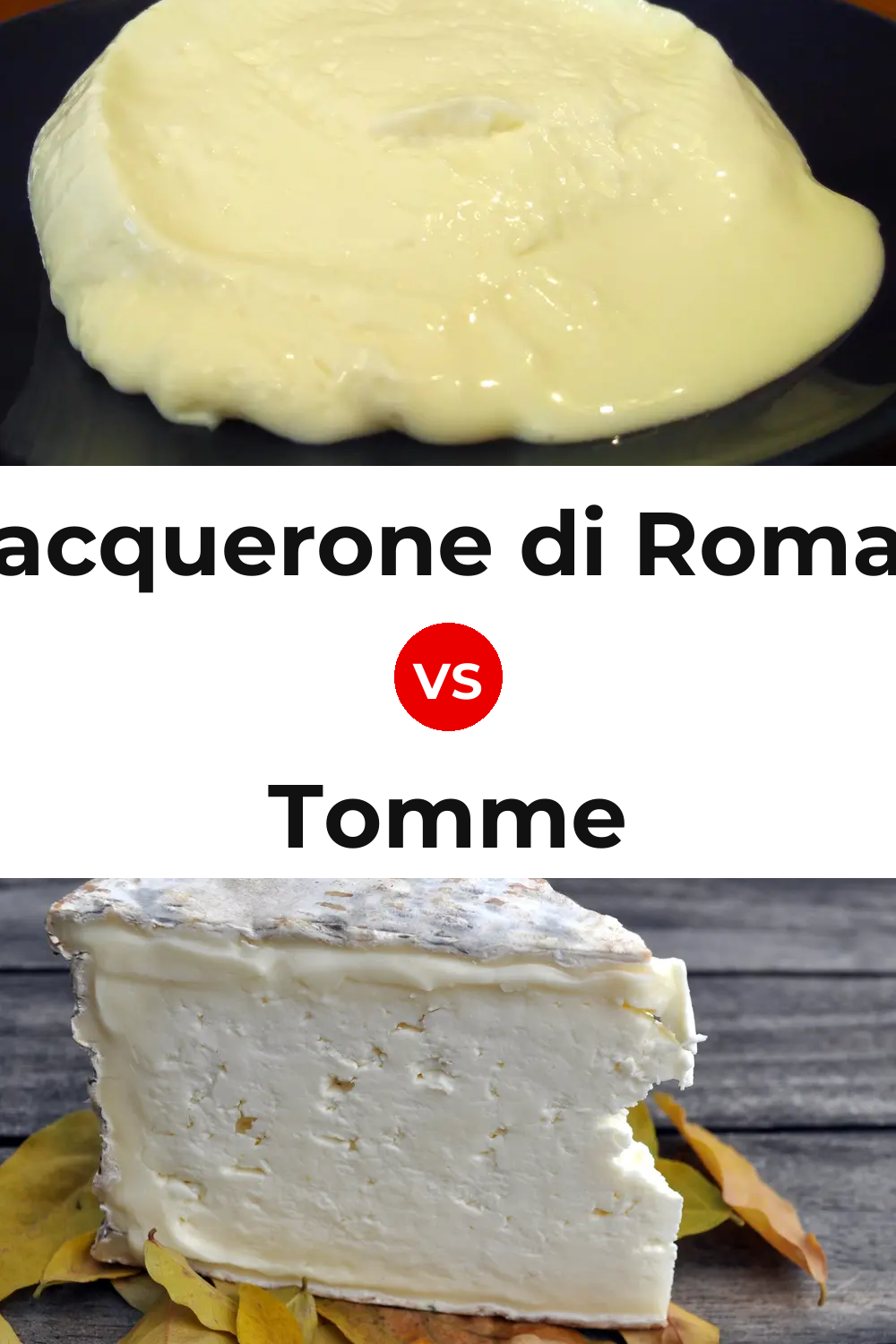 Squacquerone di Romagna Cheese vs Tomme Cheese Pinterest comparison