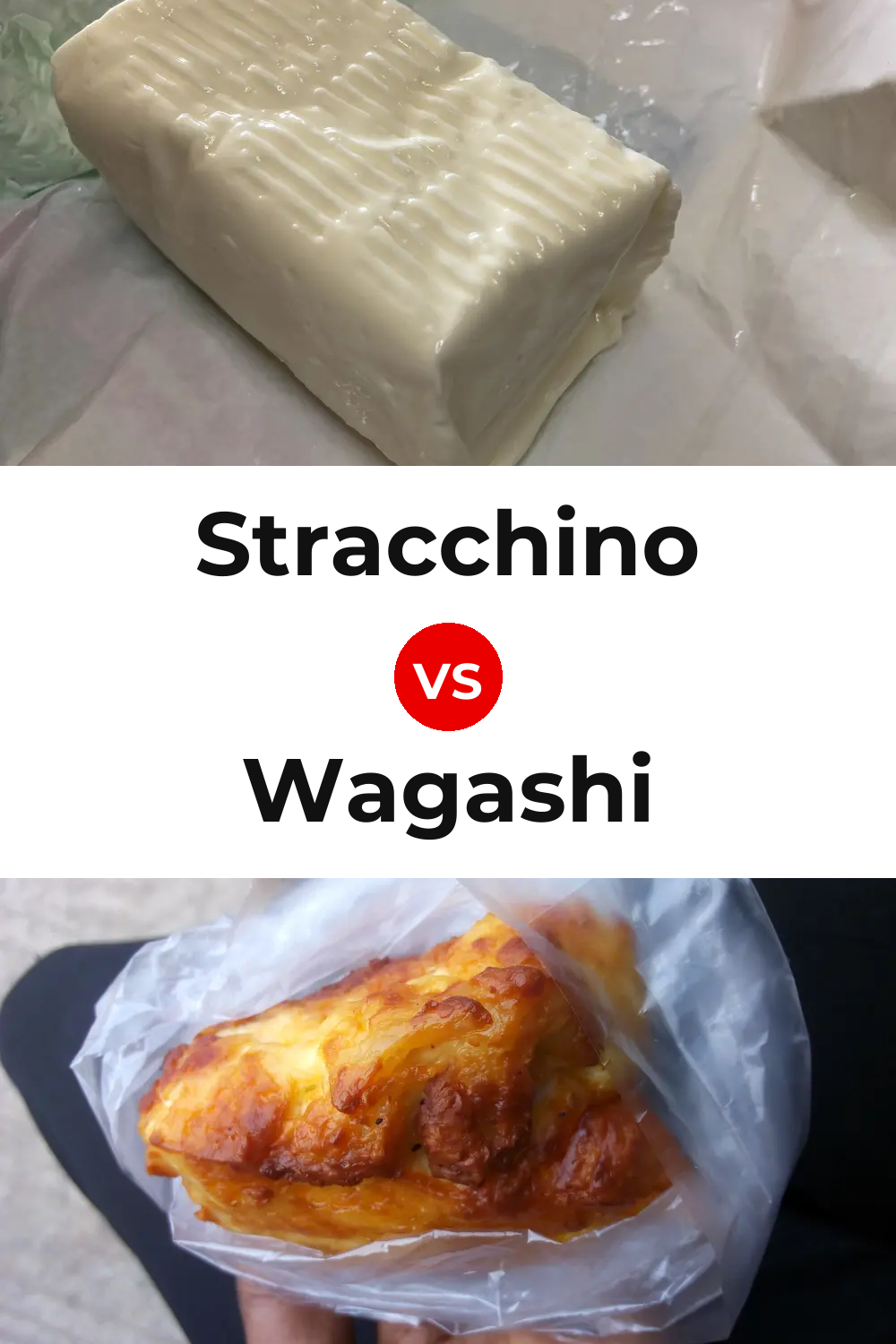Stracchino Cheese vs Wagashi Cheese Pinterest comparison
