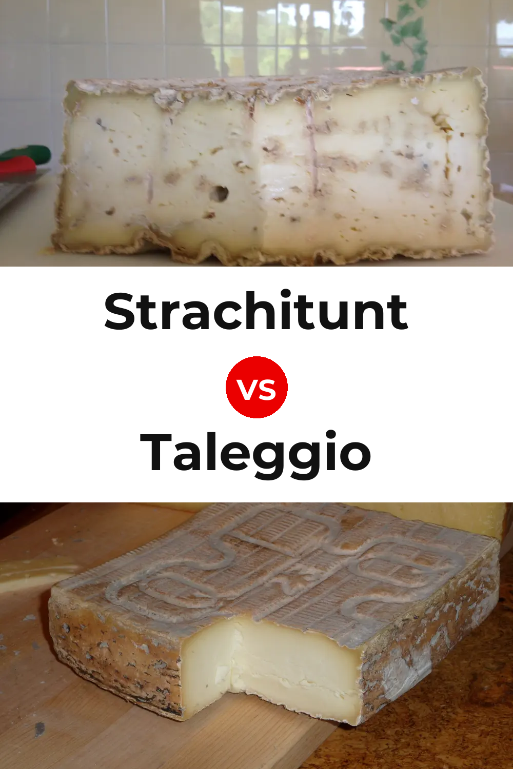 Strachitunt Cheese vs Taleggio Cheese Pinterest comparison