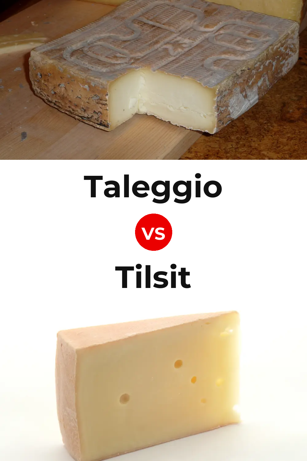 Taleggio Cheese vs Tilsit Cheese Pinterest comparison
