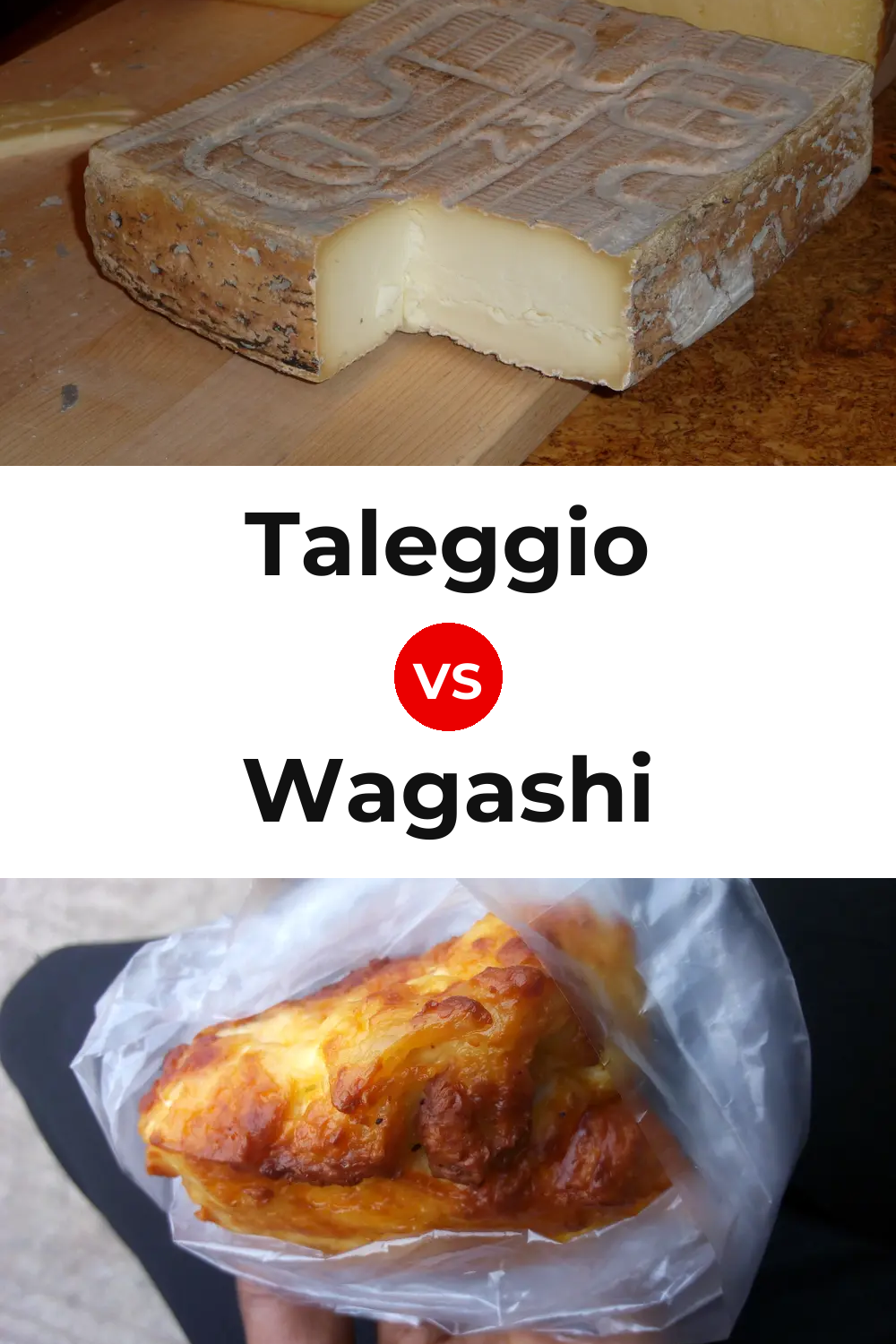 Taleggio Cheese vs Wagashi Cheese Pinterest comparison