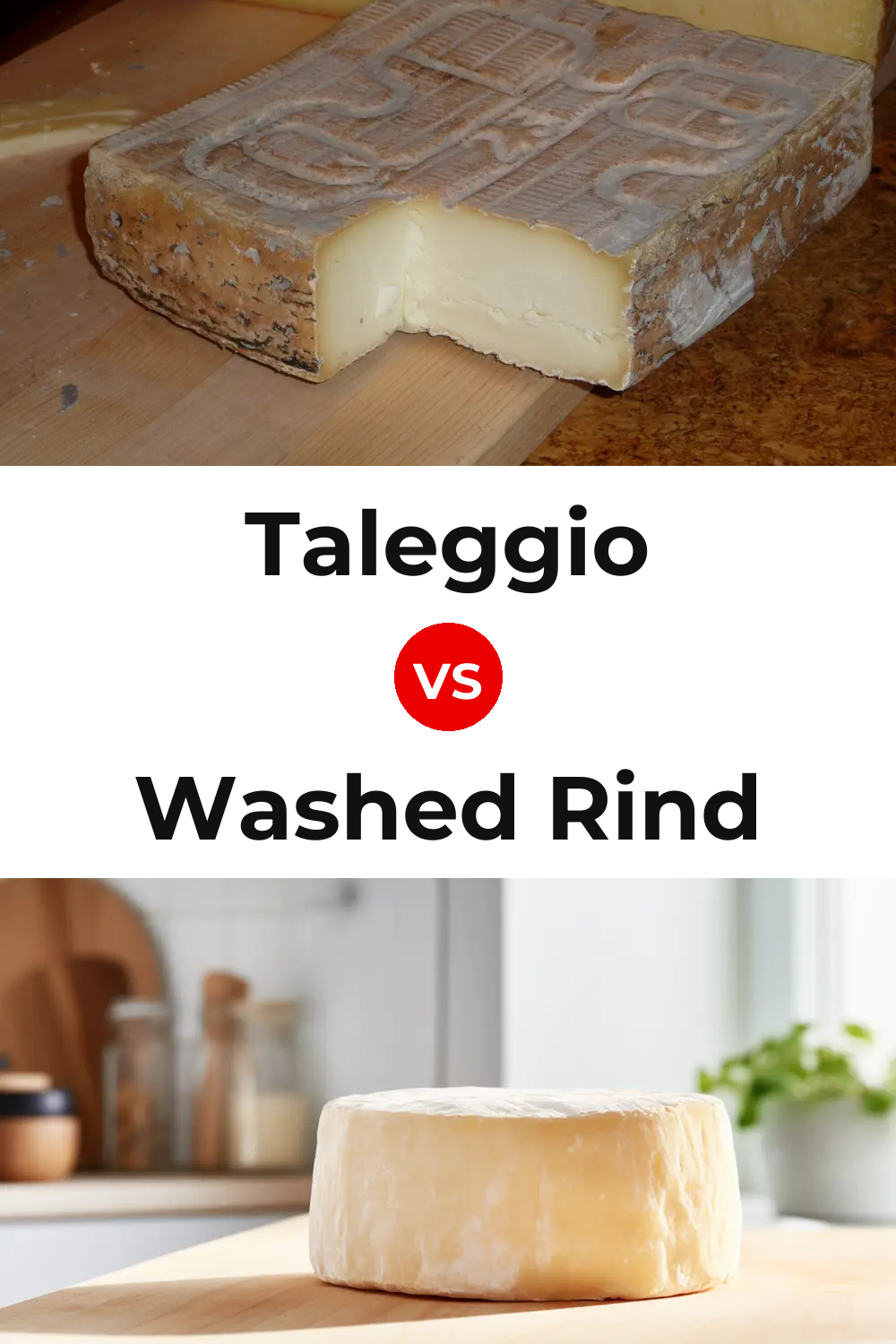 Taleggio Cheese vs Washed Rind Cheese Pinterest comparison