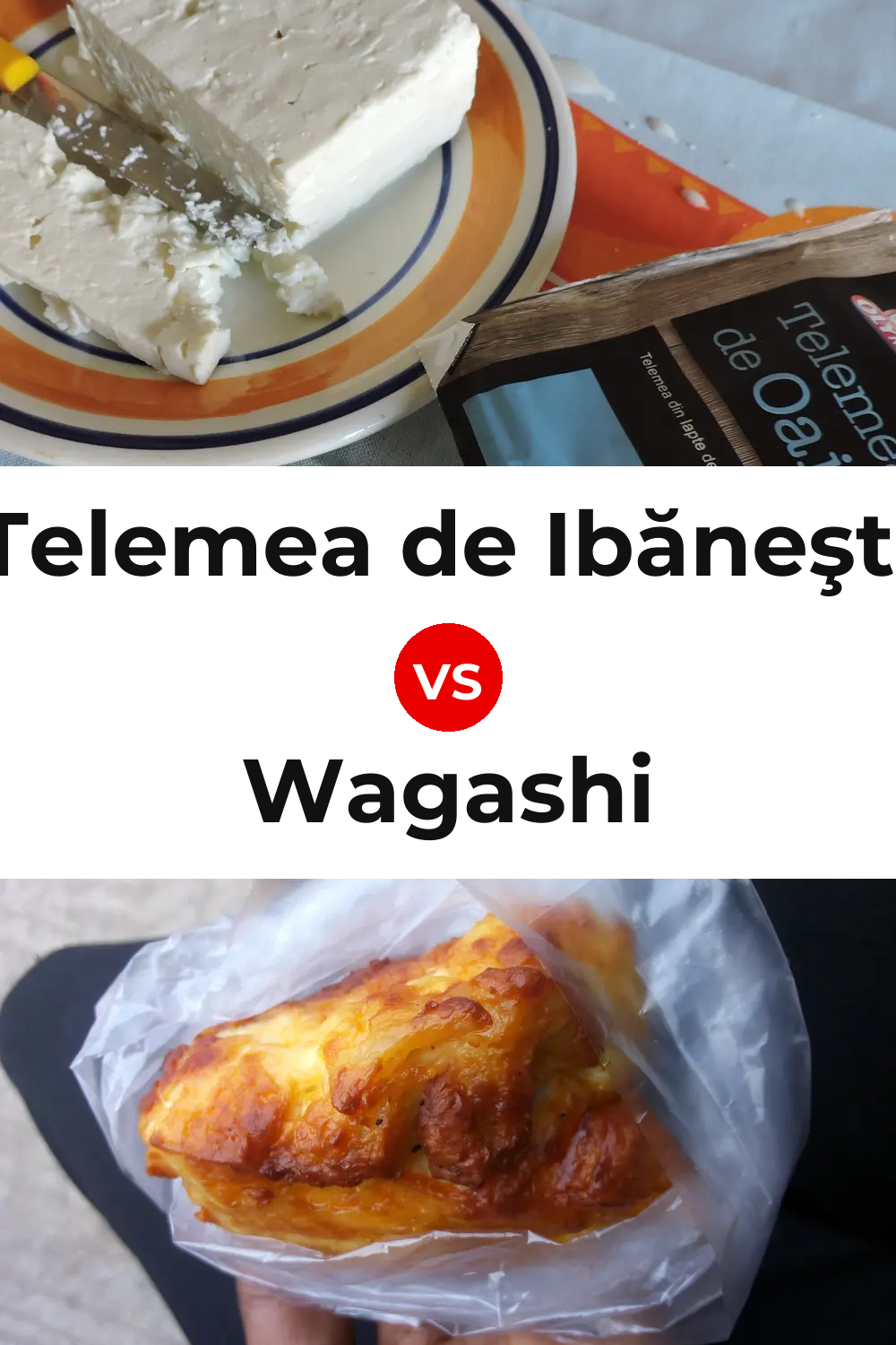 Telemea de Ibăneşti Cheese vs Wagashi Cheese Pinterest comparison