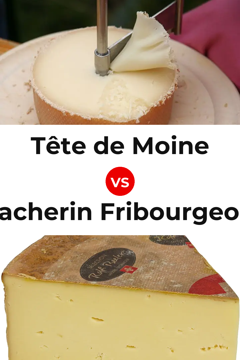 Tête de Moine Cheese vs Vacherin Fribourgeois Cheese Pinterest comparison