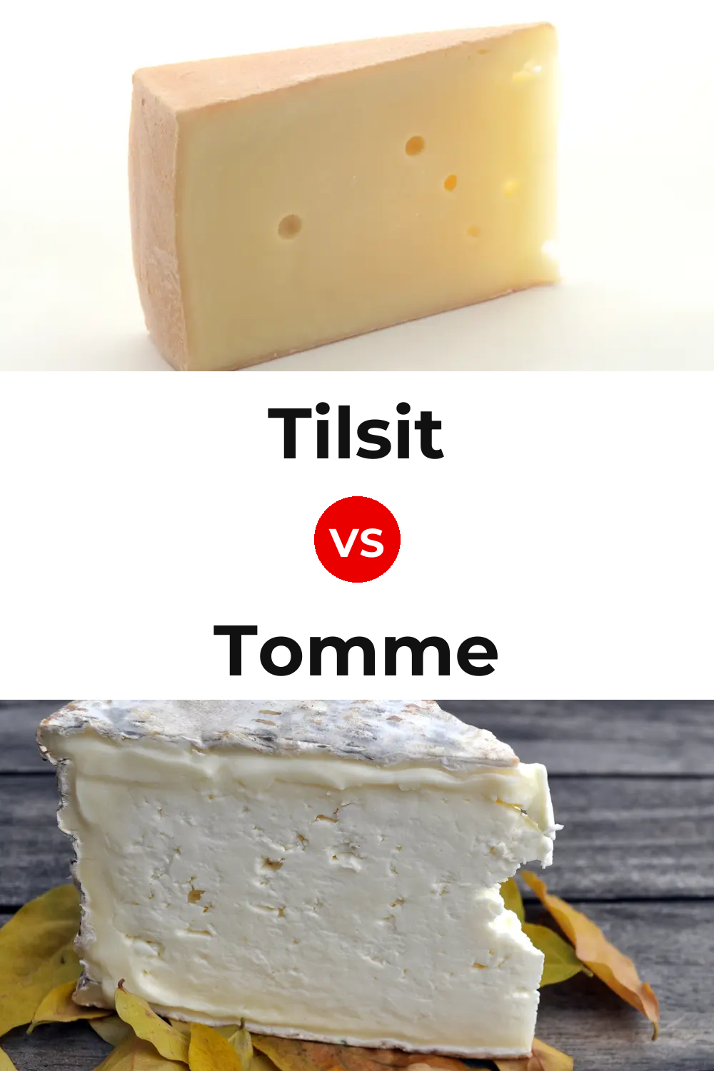 Tilsit Cheese vs Tomme Cheese Pinterest comparison