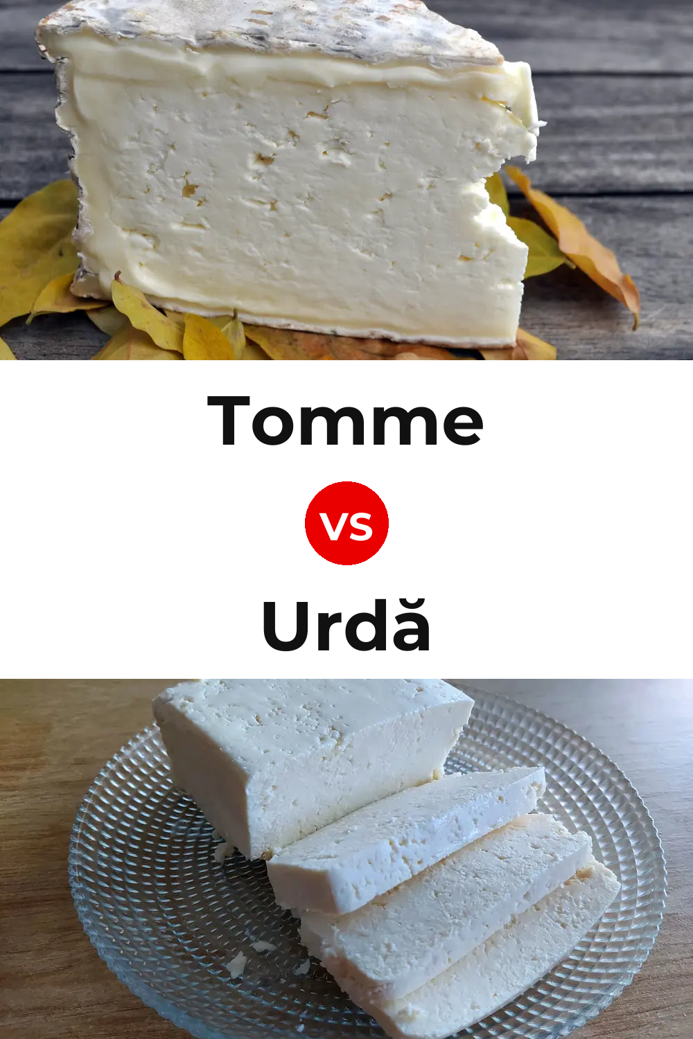 Tomme Cheese vs Urdă Cheese Pinterest comparison