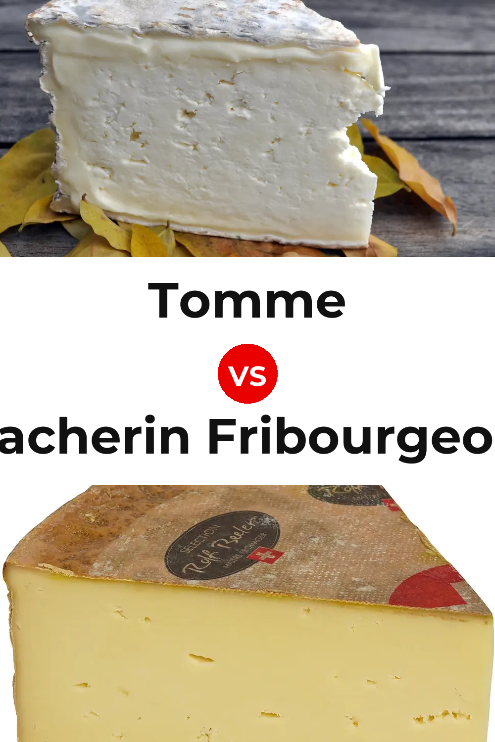 Tomme Cheese vs Vacherin Fribourgeois Cheese Pinterest comparison