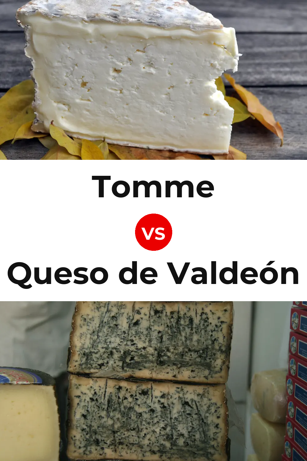Tomme Cheese vs Queso de Valdeón Pinterest comparison