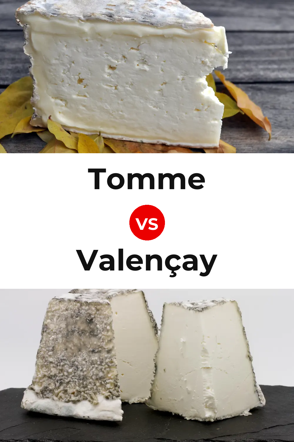 Tomme Cheese vs Valençay Cheese Pinterest comparison